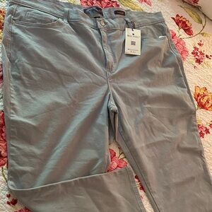 Gloria Vanderbilt Women's Straight Leg Jeans - Hydra Blue 24W Short